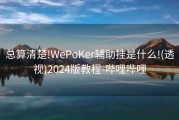 总算清楚!WePoKer辅助挂是什么!(透视)2024版教程-哔哩哔哩