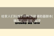 给家人们科普下WPK外挂辅助器脚本(确实可以开挂)-知乎