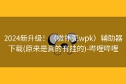 2024新升级！（微扑克wpk）辅助器下载(原来是真的有挂的)-哔哩哔哩