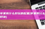苹果有什么好玩的配置 (苹果有什么好处)