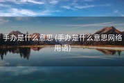 手办是什么意思 (手办是什么意思网络用语)