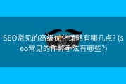 SEO常见的高级优化策略有哪几点? (seo常见的作弊手法有哪些?)