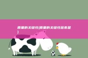 质量的关键性 (质量的关键性因素是)