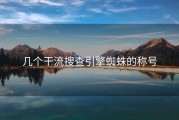 几个干流搜查引擎蜘蛛的称号