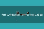 为什么会有ins风 (为什么会有头皮屑)