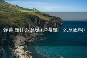弹幕 是什么意思 (弹幕是什么意思啊)
