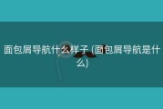 面包屑导航什么样子 (面包屑导航是什么)
