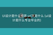 Ui设计是什么意思 url又是什么 (ui设计是什么专业毕业的)