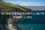 用户剖析须要留意的点有什么 (用户剖析须要什么资料)