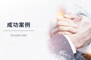 经典成功案例分析 精通网站引擎优化 (经典成功案例分析)