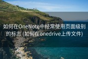 如何在OneNote中经常使用页面级别的标志 (如何在onedrive上传文件)