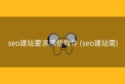 seo建站要求哪些软件 (seo建站需)