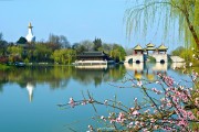 扬州旅游网的简介 (扬州旅游网的发展现状)