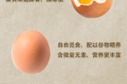 土鸡蛋和饲料鸡蛋营养价值一样吗 (土鸡蛋和饲料鸡蛋怎么区分)