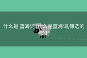 什么是 蓝海词 (什么是蓝海词,筛选的标准)