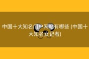 中国十大知名门户网站有哪些 (中国十大知名女记者)
