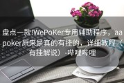 盘点一款!WePoKer专用辅助程序，aapoker原来是真的有挂的，详细教程（有挂解说）-哔哩哔哩
