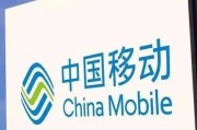 什么是移动优化 (什么是移动优选plus会员)