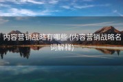 内容营销战略有哪些 (内容营销战略名词解释)