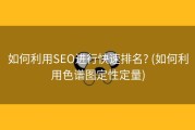 如何利用SEO进行快速排名? (如何利用色谱图定性定量)