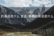 的英语是什么 言语 (葡萄的英语是什么)