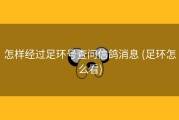 怎样经过足环号查问信鸽消息 (足环怎么看)