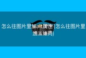 怎么往图片里加alt属性 (怎么往图片里加二维码)