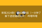 新版2024款！wpk辅助挂（一分钟了解下透视辅助软件）-哔哩哔哩