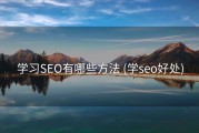 学习SEO有哪些方法 (学seo好处)