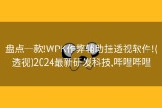 盘点一款!WPK作弊辅助挂透视软件!(透视)2024最新研发科技,哔哩哔哩