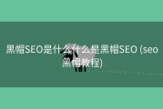 黑帽SEO是什么什么是黑帽SEO (seo黑帽教程)