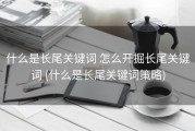 什么是长尾关键词 怎么开掘长尾关键词 (什么是长尾关键词策略)