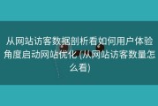 从网站访客数据剖析看如何用户体验角度启动网站优化 (从网站访客数量怎么看)