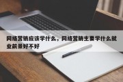 网络营销应该学什么，网络营销主要学什么就业前景好不好