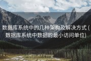 数据库系统中的几种架构及解决方式 (数据库系统中数据的最小访问单位)