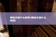 照应式是什么意思? (照应式是什么意思)