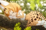 2017年最佳动漫角色排行榜揭晓：日本网友票选的超级明星角色大公开