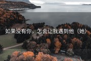 如果没有你，怎会让我遇到他（她）