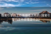 搜索引擎的工作原理是怎样的 (搜索引擎的工作原理是什么)