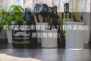 软件紧缩的原理是什么? (软件紧缩的原因有哪些)