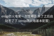 ensp防火墙第一次性开了 关了之后启动不了了 (ensp防火墙基本配置)