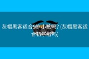 灰帽黑客适合9岁小孩吗? (灰帽黑客适合初学者吗)