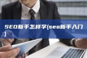 SEO新手怎样学 (seo新手入门)