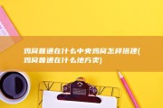 鸡窝普通在什么中央 鸡窝怎样搭建 (鸡窝普通在什么地方卖)