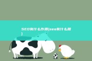 SEO有什么作用 (seo有什么用)