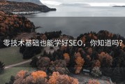 零技术基础也能学好SEO，你知道吗？