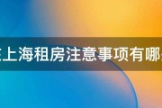 上海租房有什么网站好 (上海租房有什么套路)