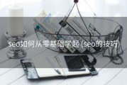 seo如何从零基础学起 (seo的技巧)