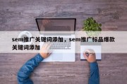 sem推广关键词添加，sem推广标品爆款关键词添加