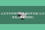 公文写中罕用的成语 或四字词语 (公文常用词语使用辨析)